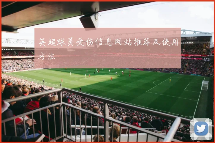 英超球员受伤信息网站推荐及使用方法