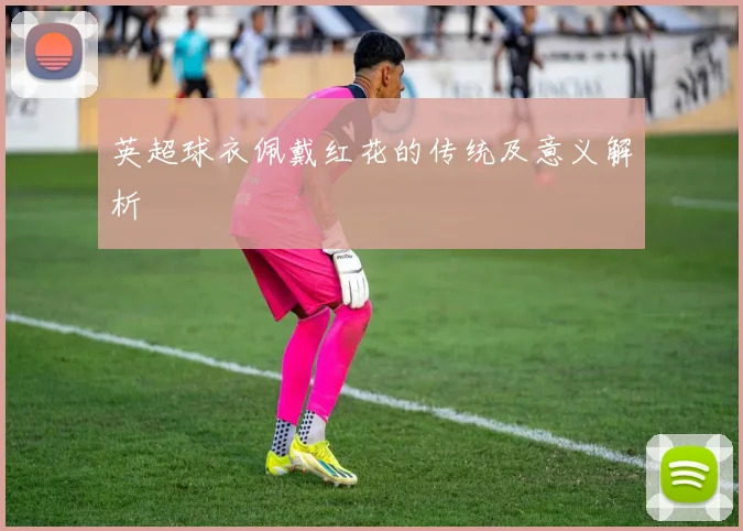 英超球衣佩戴红花的传统及意义解析