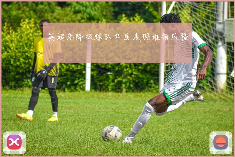 英超免降级球队年度表现谁领风骚