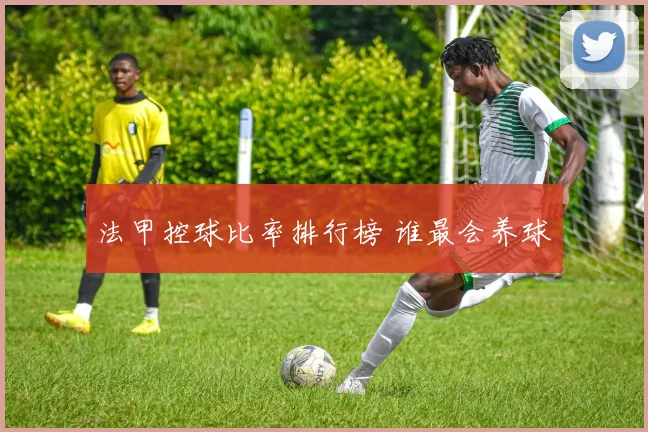 法甲控球比率排行榜 谁最会养球