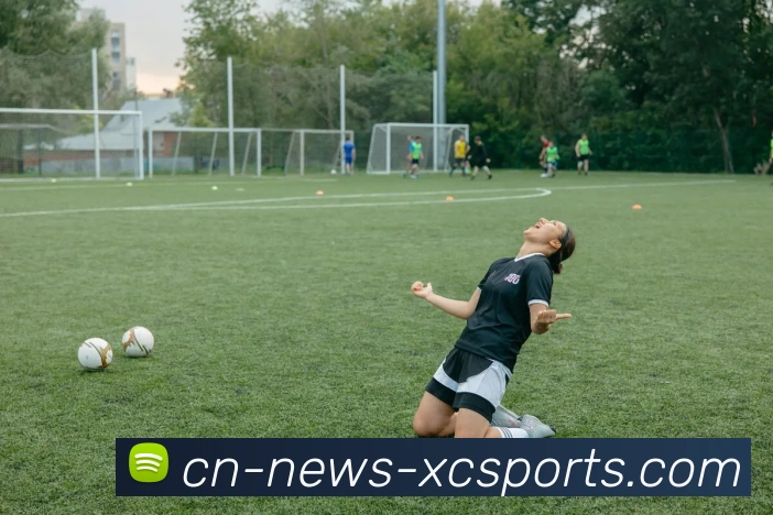 杏彩体育平台生态图